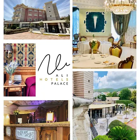 Ali Hotels - Palace-2
